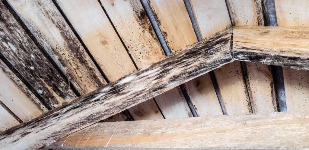 deteriorating woodwork